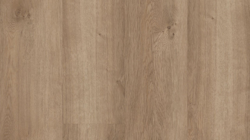 Pro Plus - Copano Oak